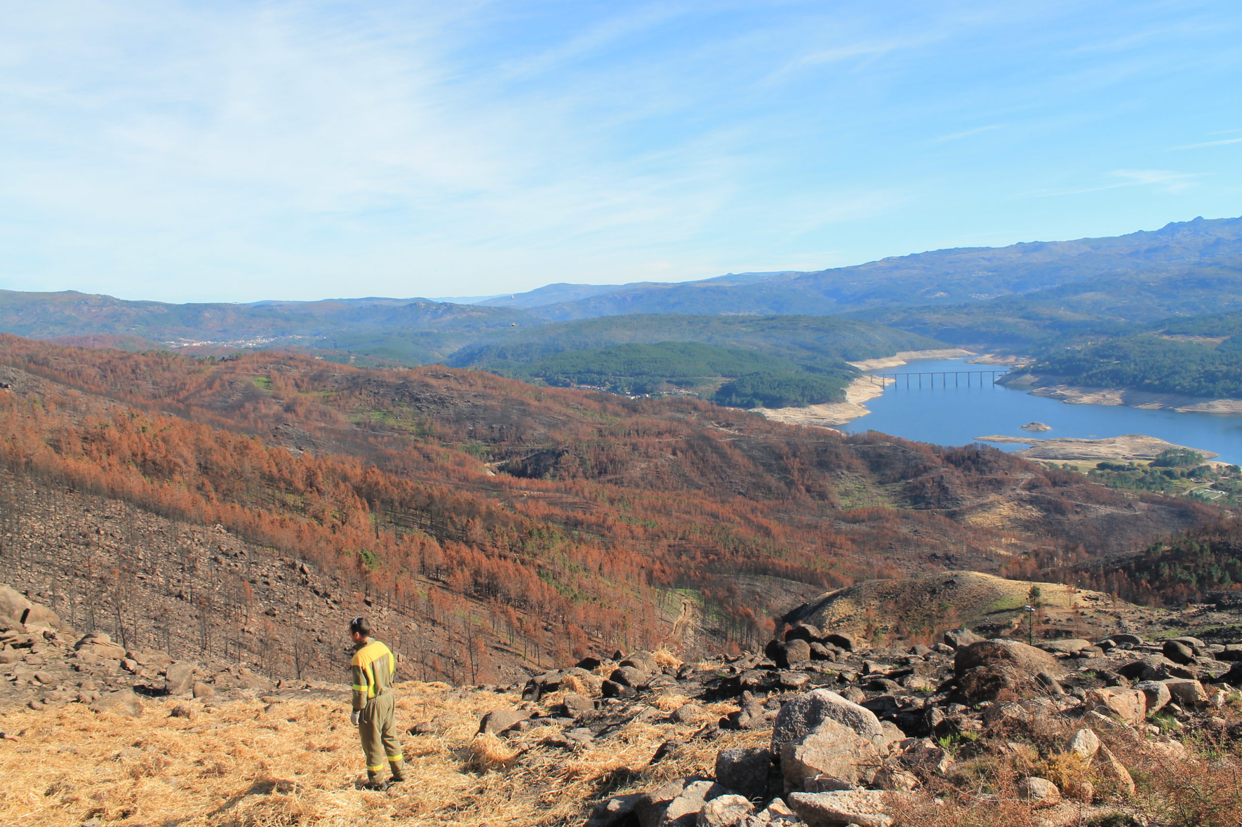 Trabajos de restauración de suelos quemados en el Parque Natural del Xurés. 2016